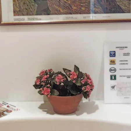 Bed & Breakfast Auditorium B&B *